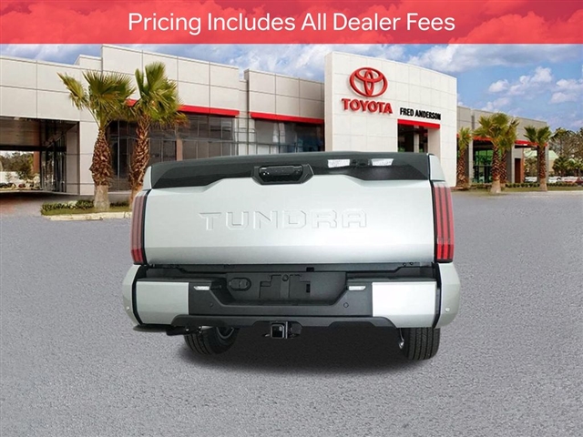 2025 Toyota TUNDRA PLATINUM thumbnail 24