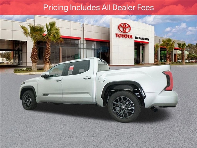 2025 Toyota TUNDRA PLATINUM thumbnail 21