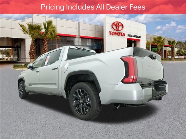 2025 Toyota TUNDRA PLATINUM thumbnail 22