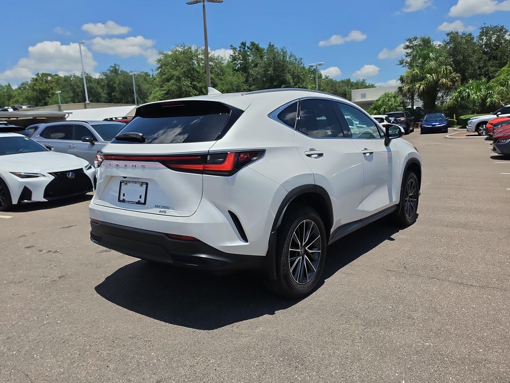 2024 Lexus NX 350 照片 8