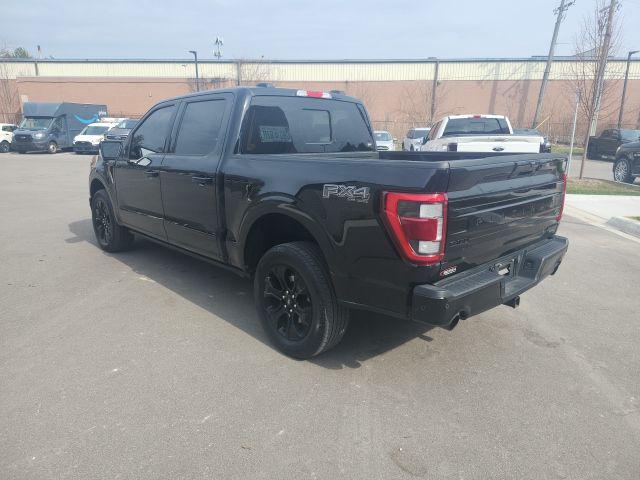 FORD F-150 PLATINUM - 7