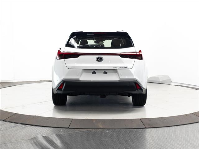 2026 Lexus UX 300H PREMIUM 照片 10