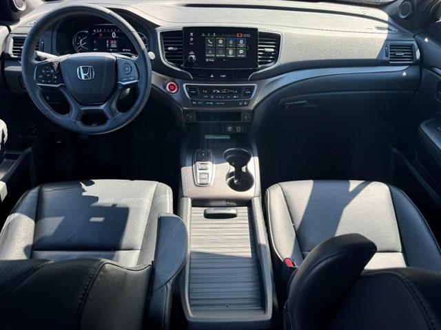 2023 Honda PASSPORT EX-L 照片 13