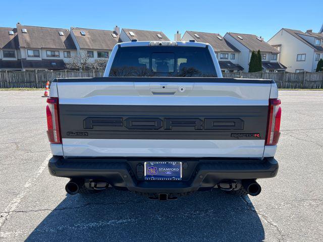 FORD F-150 RAPTOR - 9