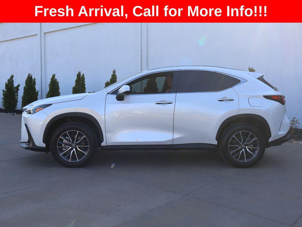 2025 Lexus NX 250 PREMIUM 照片 3