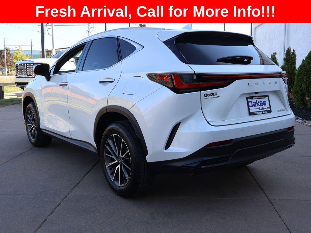 2025 Lexus NX 250 PREMIUM 照片 4
