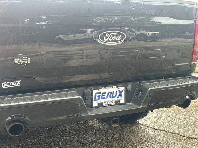 صورة مصغرة 13 لـ 2025 FORD F-150 XLT