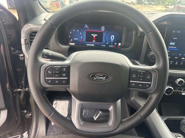 صورة مصغرة 39 لـ 2025 FORD F-150 XLT