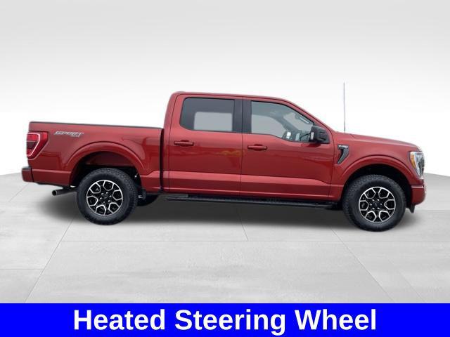 FORD F-150 XLT - 6