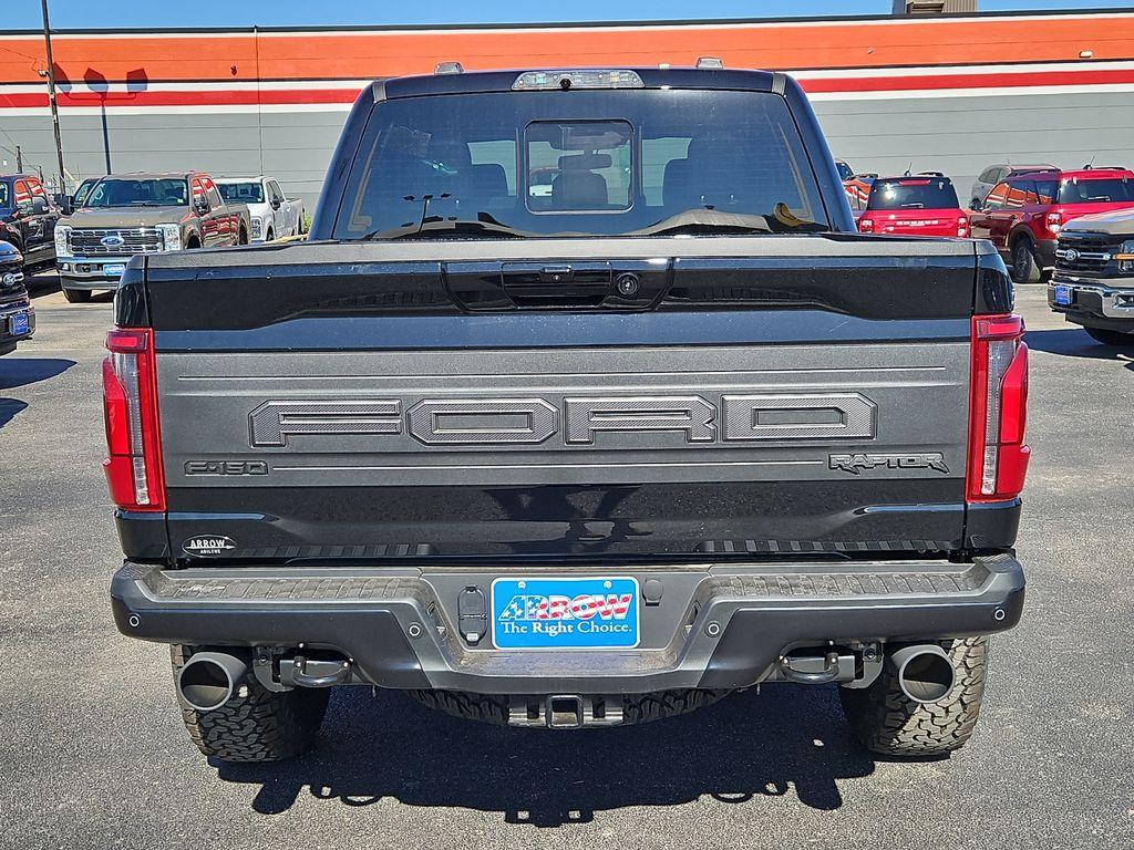 FORD F-150 RAPTOR - 10