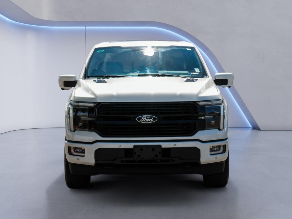 2024 FORD F-150 PLATINUM 照片 2
