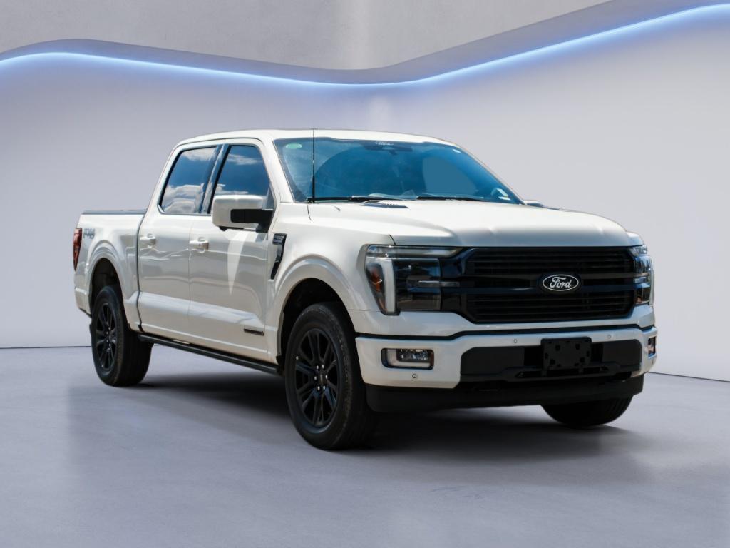 2024 FORD F-150 PLATINUM 照片 3