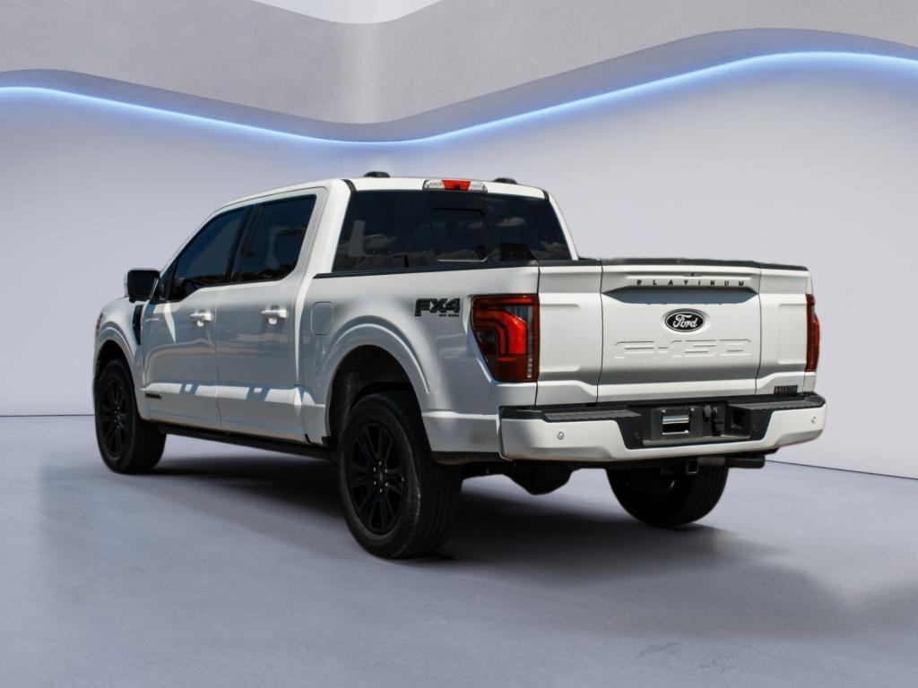 2024 FORD F-150 PLATINUM 照片 8