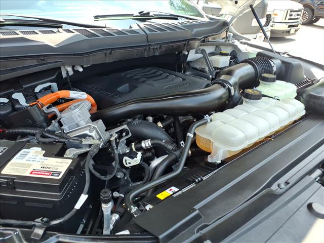 صورة مصغرة 23 لـ 2023 FORD F-150 XLT