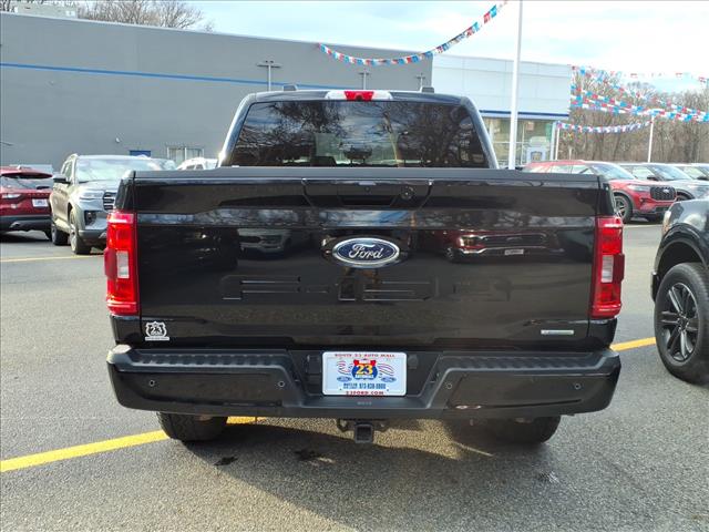 2023 FORD F-150 XLT 照片 6