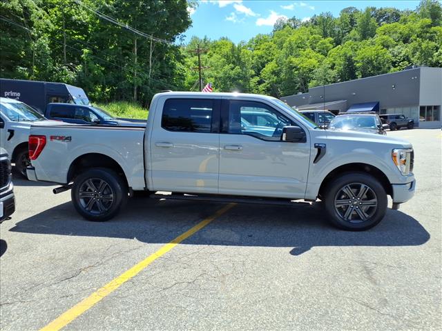 صورة 8 لـ 2023 FORD F-150 XLT