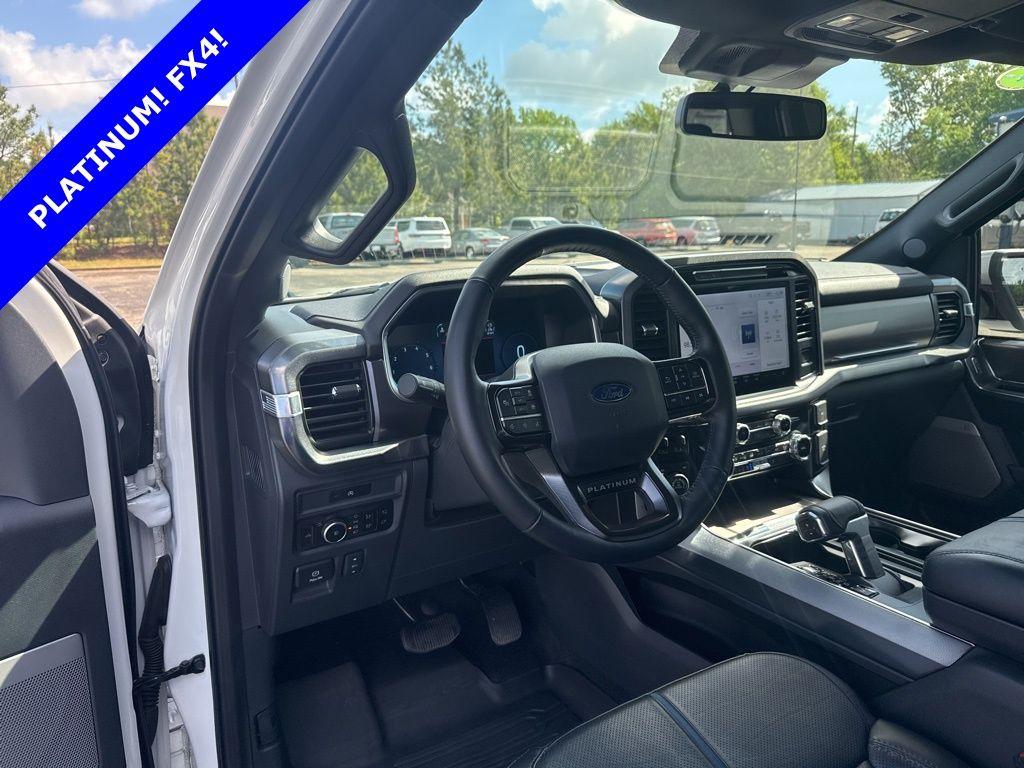 2025 FORD F-150 PLATINUM — миниатюра 30