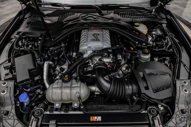 FORD SHELBY GT500 BASE - 3