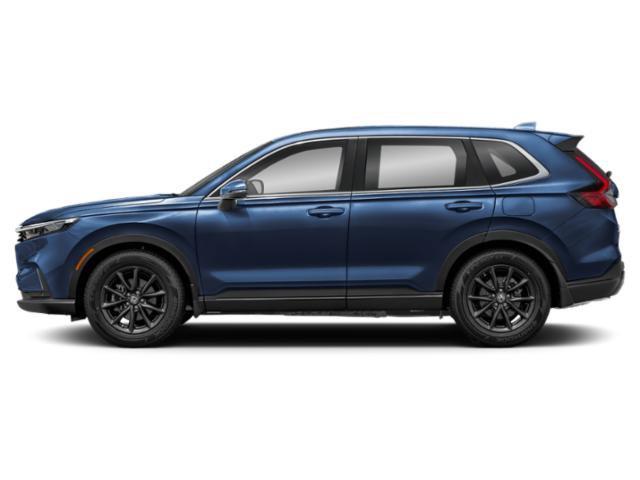 2026 Honda CR-V EX-L 照片 2