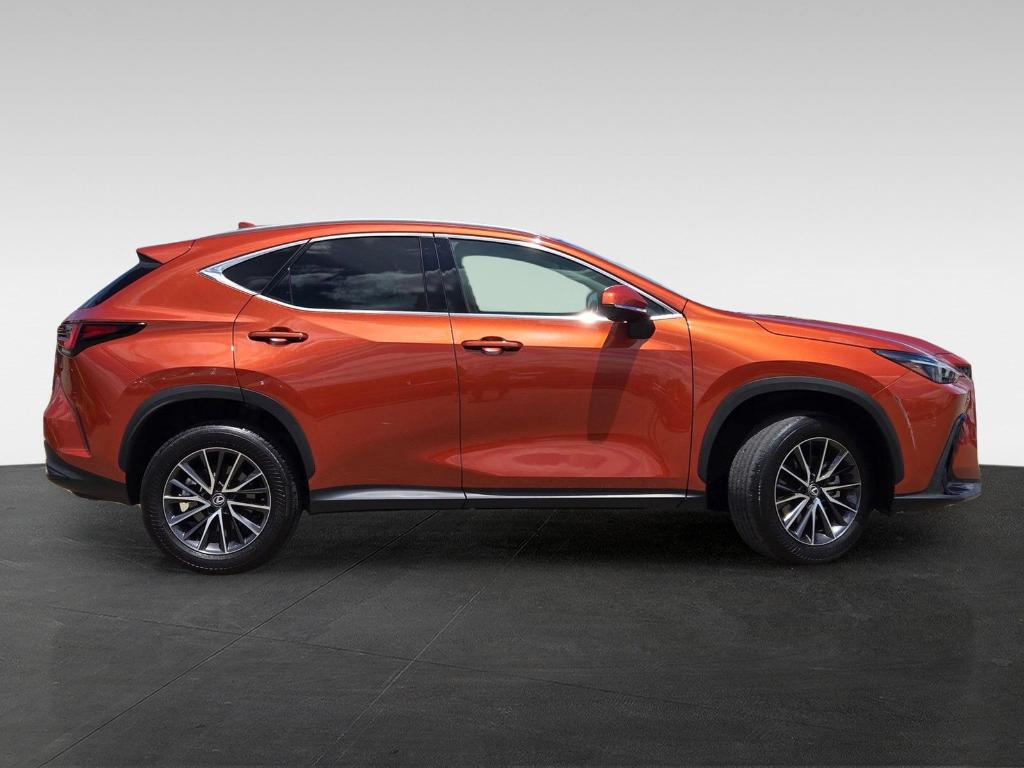 2024 Lexus NX 250 BASE 照片 3