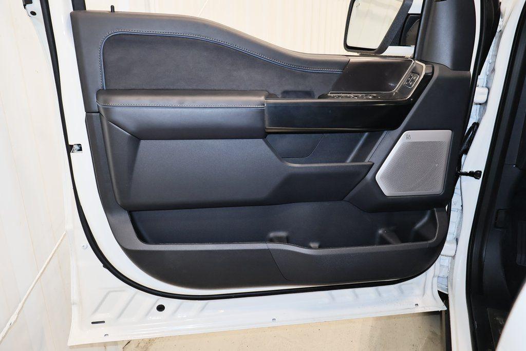 FORD F-150 PLATINUM - 10