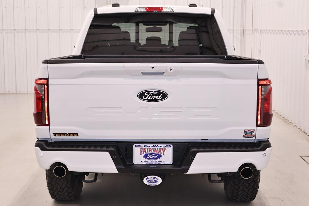 FORD F-150 TREMOR - 8