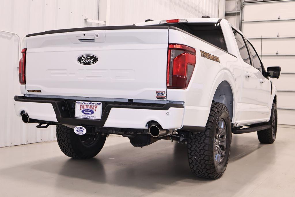 FORD F-150 TREMOR - 9