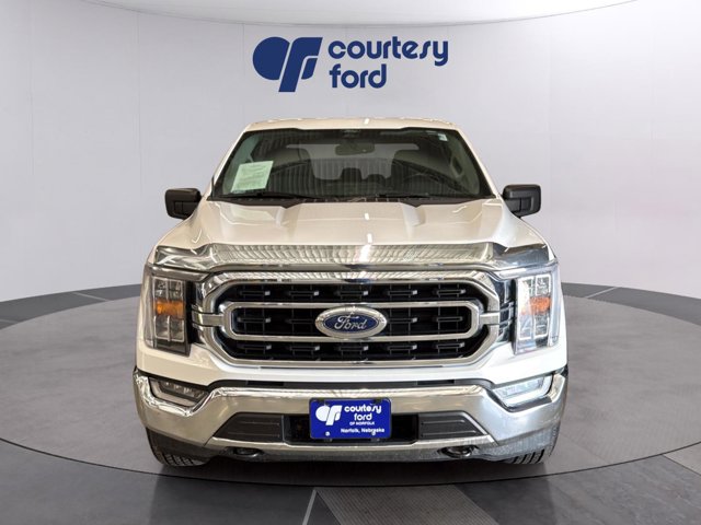 FORD F-150 - 3