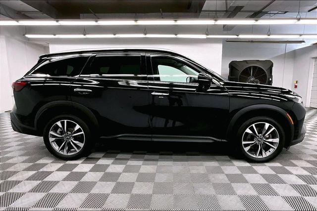 2024 Infiniti QX60 LUXE 缩略图 14