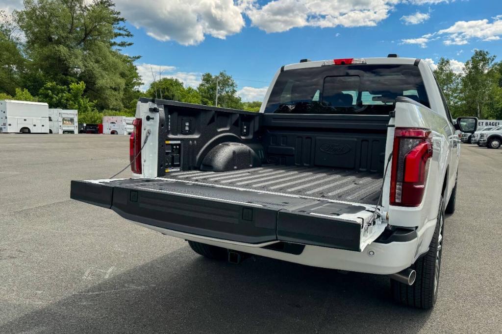 2026 FORD F-150 PLATINUM thumbnail 25