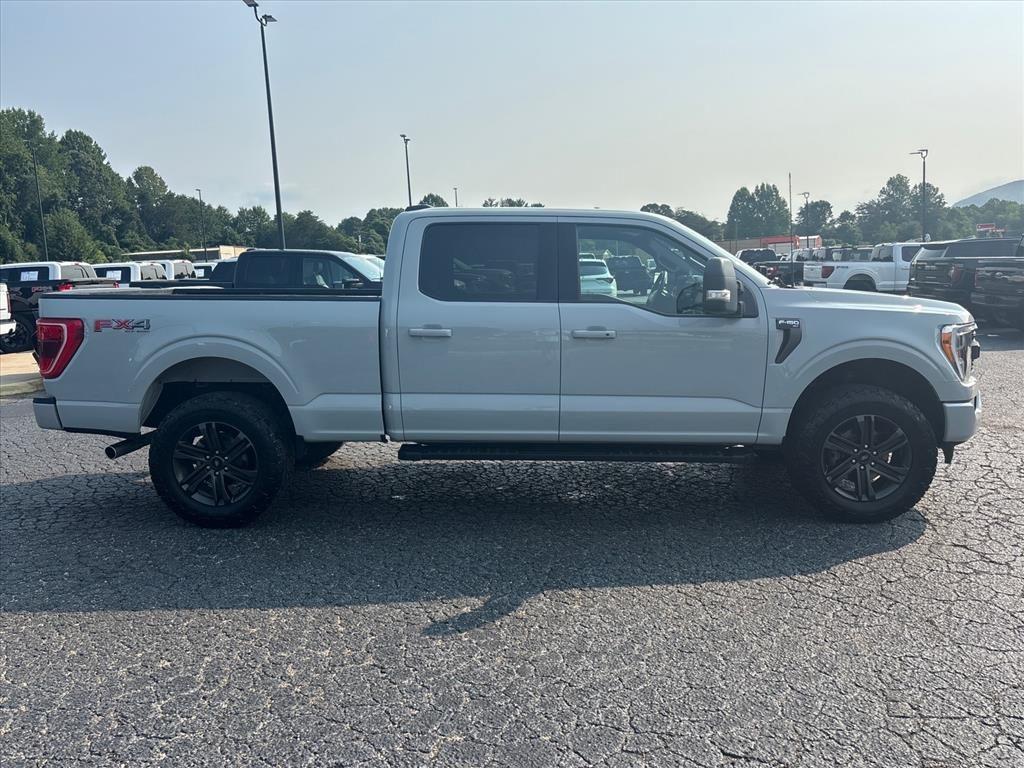 2023 FORD F-150 XLT 照片 9