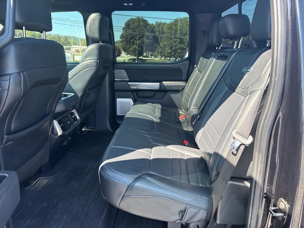 صورة مصغرة 17 لـ 2025 FORD F-250 PLATINUM