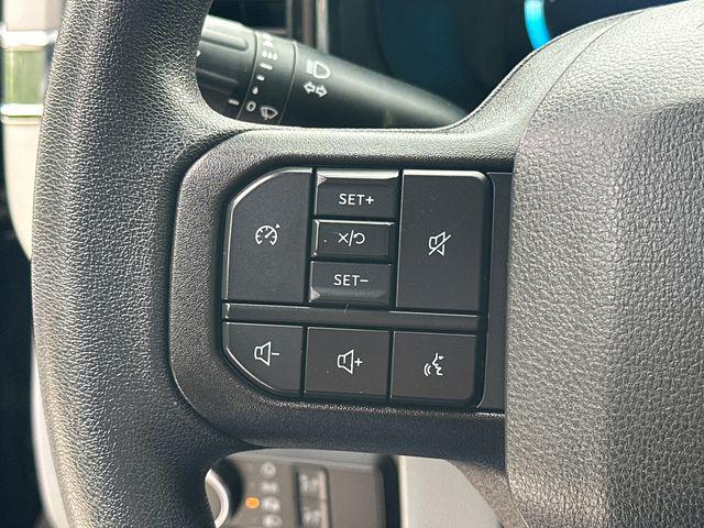 صورة مصغرة 29 لـ 2023 FORD F-250 XLT