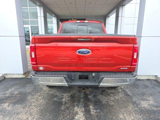 FORD F-150 XLT - 3