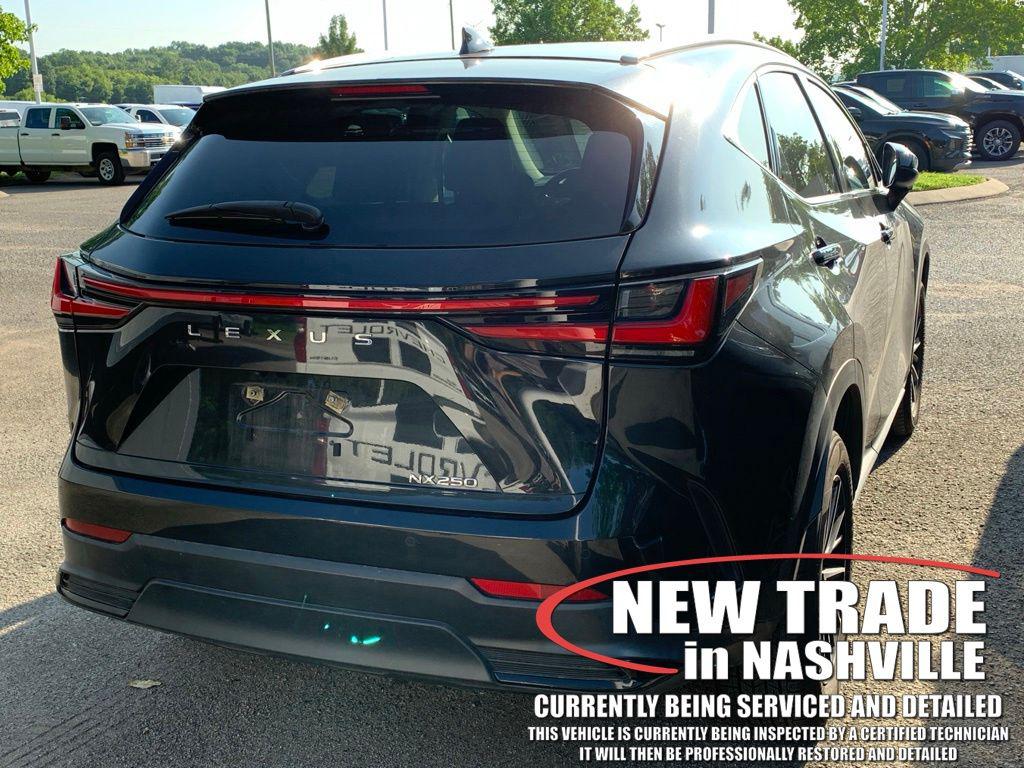2024 Lexus NX 250 PREMIUM — миниатюра 4