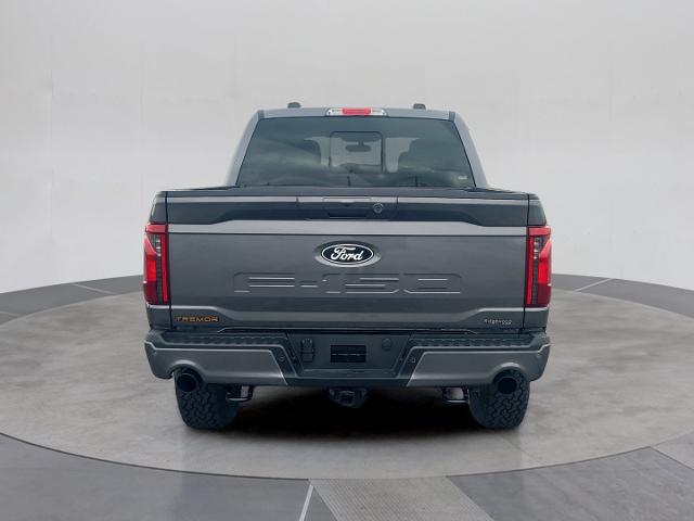 2025 FORD F-150 TREMOR 缩略图 6