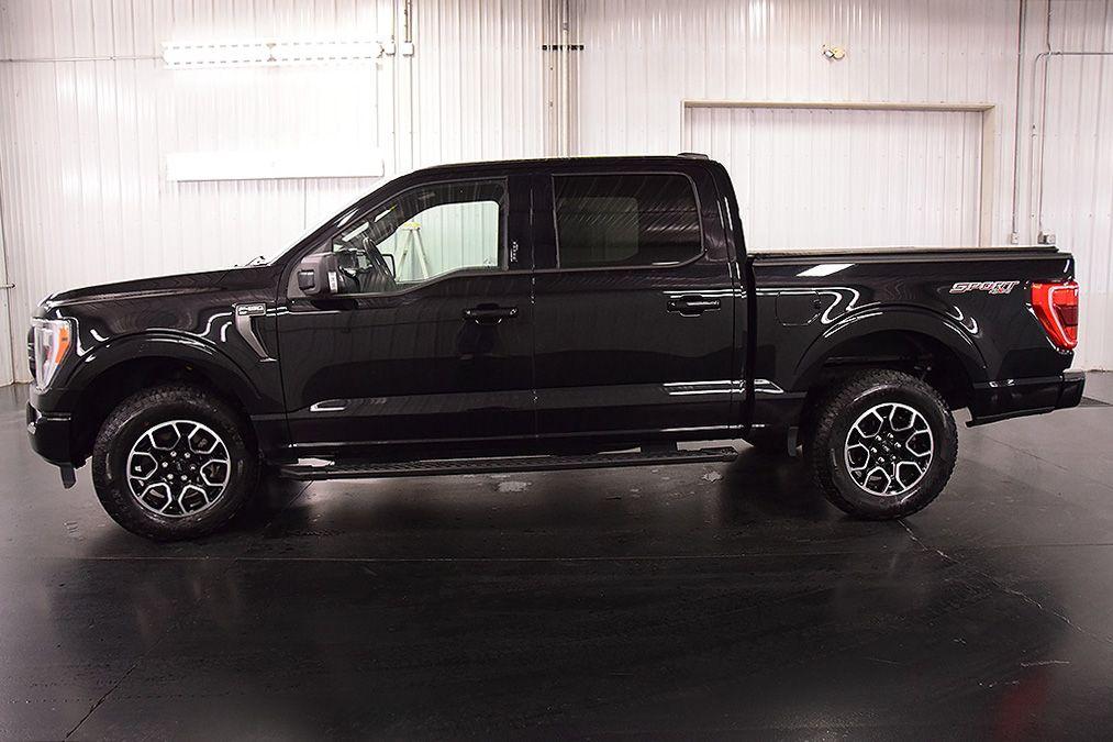 2023 FORD F-150 XLT 照片 4