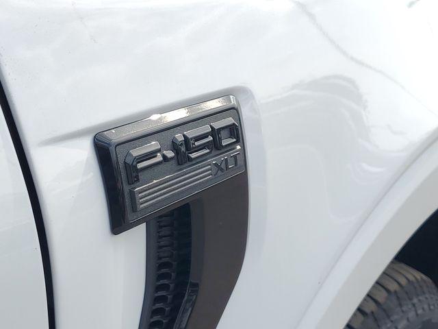 2026 FORD F-150 XLT 照片 6
