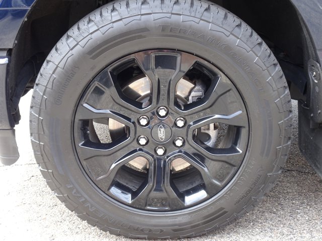 FORD F-150 PLATINUM - 8