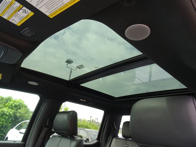 FORD F-150 PLATINUM - 10