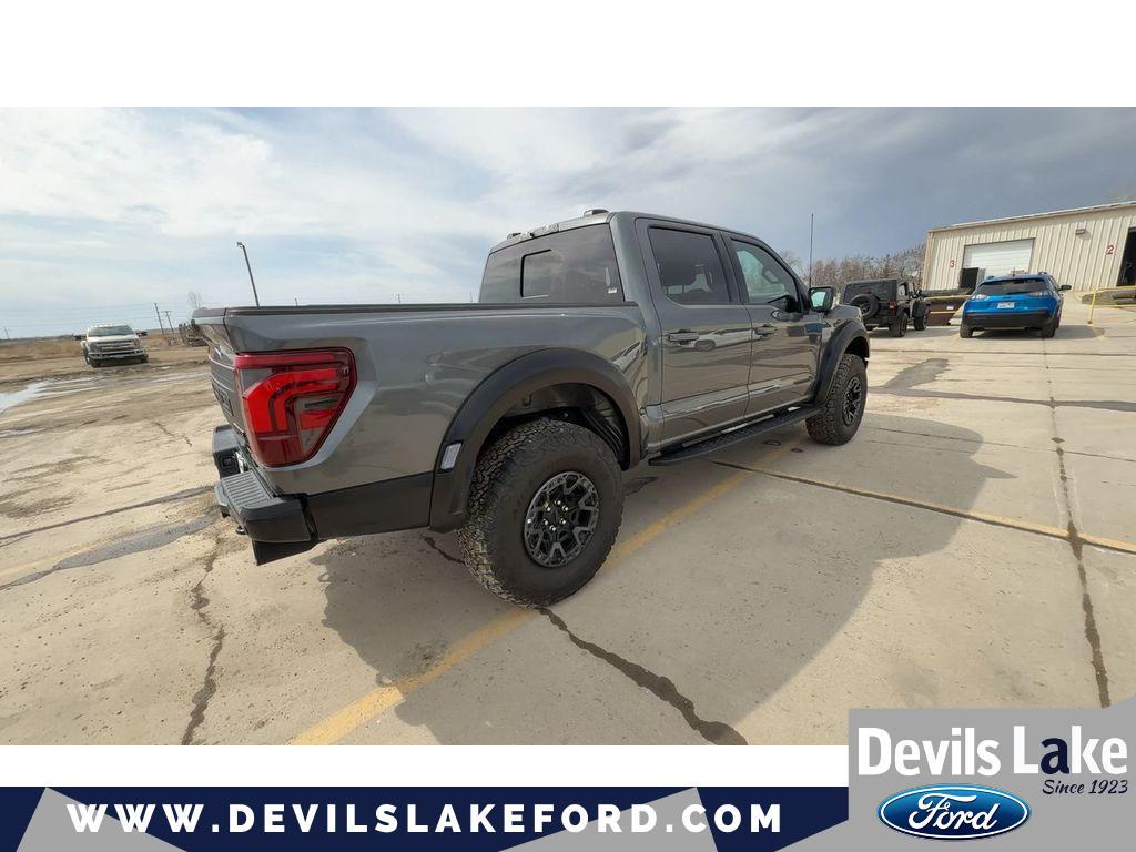 FORD F-150 RAPTOR R - 10