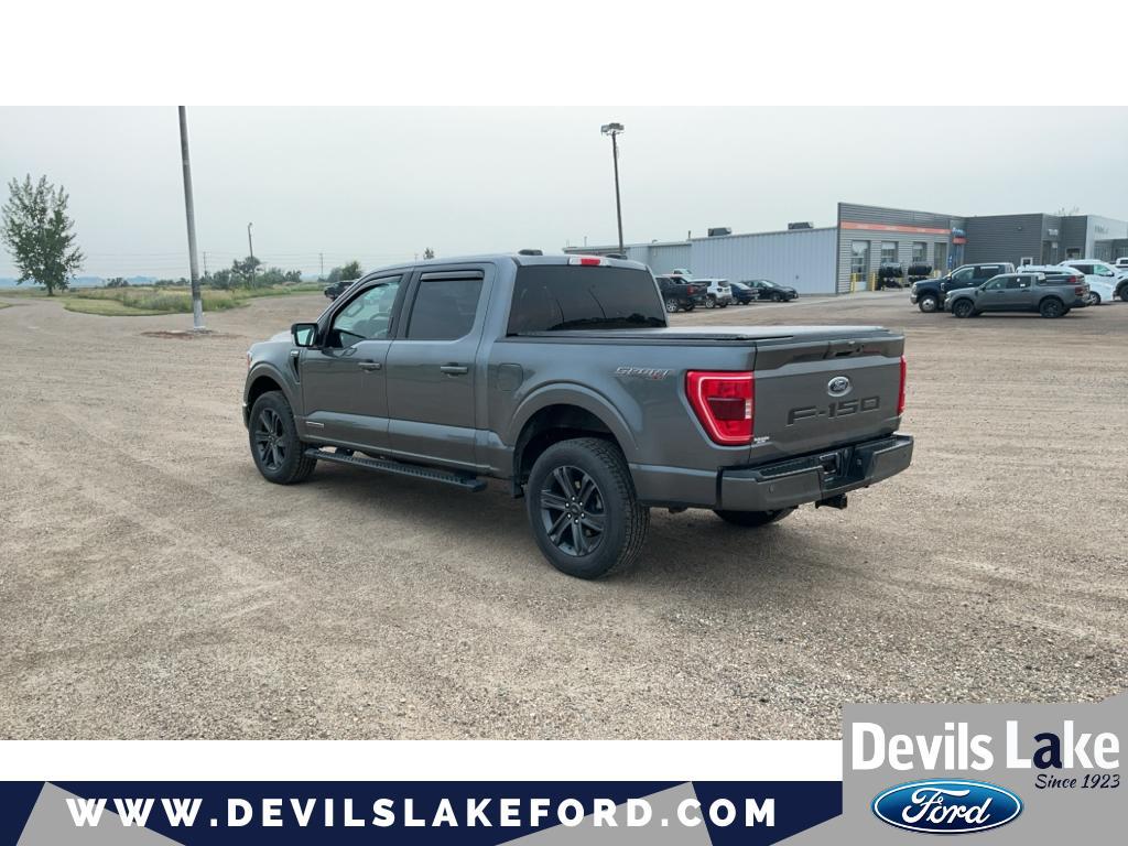 صورة 2 لـ 2023 FORD F-150 XLT
