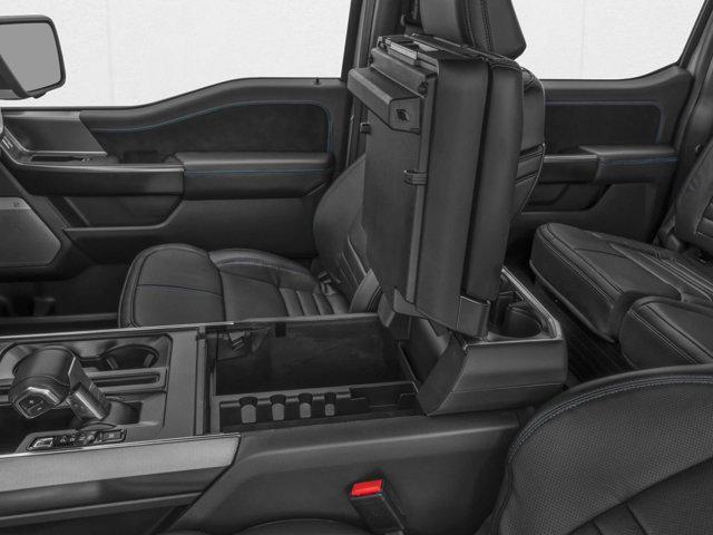 FORD F-150 PLATINUM - 10