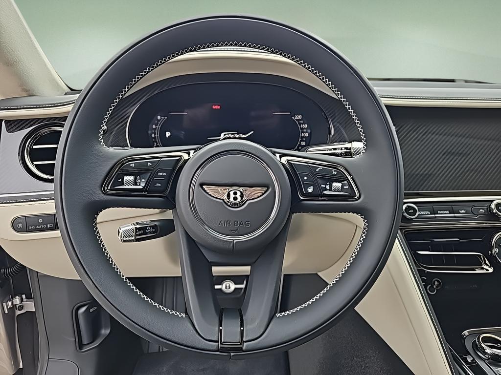 2025 Bentley FLYING SPUR SPEED thumbnail 21