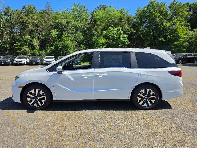 صورة 3 لـ 2026 Honda ODYSSEY EX-L
