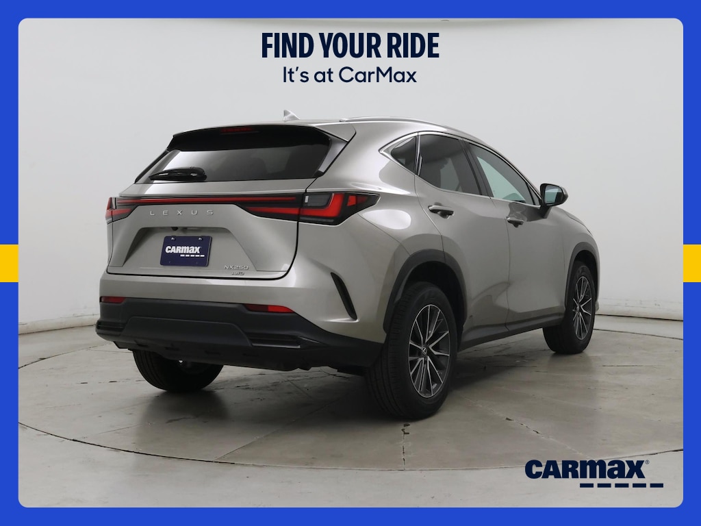 2023 Lexus NX 250 照片 9