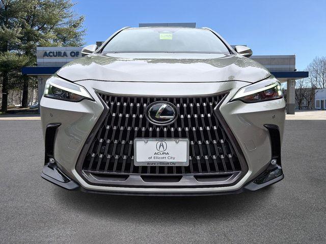 2024 Lexus NX 250 PREMIUM — фото 2
