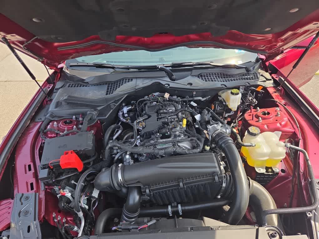 2026 FORD MUSTANG ECOBOOST 照片 10