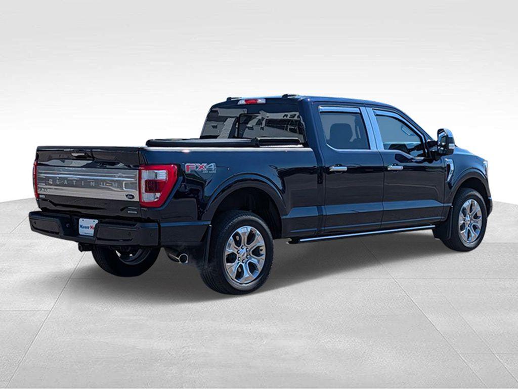 FORD F-150 PLATINUM - 3
