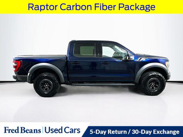 FORD F-150 RAPTOR - 10